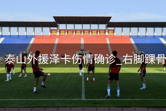 泰山外援泽卡伤情确诊 右脚踝骨折将休战近两月